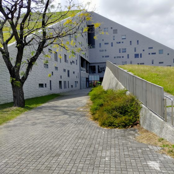 【台湾】台东池上巡礼/走进蒋勋的书中场景,与天地对话