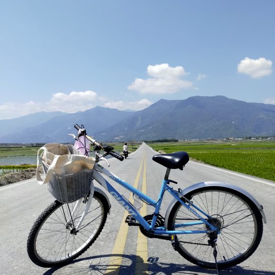 【台湾】台东池上巡礼/走进蒋勋的书中场景,与天地对话