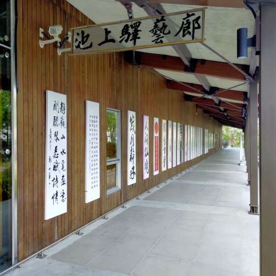 【台湾】台东池上巡礼/走进蒋勋的书中场景,与天地对话