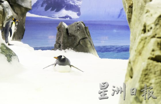 【澳洲】旅跑吧,黄金海岸!“Runcation”边吃边玩,实现异国长跑梦