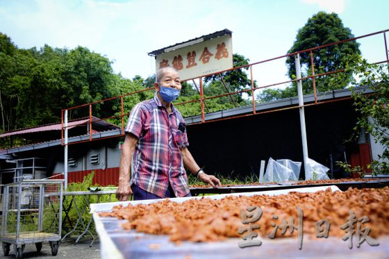 【荳蔻的故事／03】传承三代，豆蔻还能走多远？