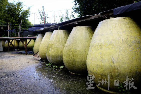 【荳蔻的故事／03】传承三代，豆蔻还能走多远？