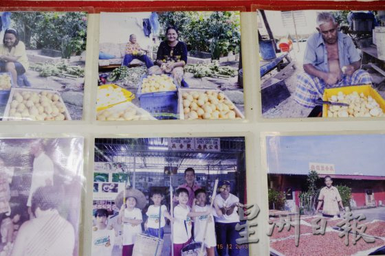 【荳蔻的故事／03】传承三代，豆蔻还能走多远？