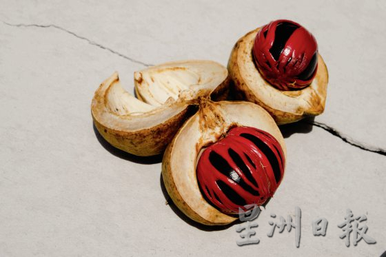 【荳蔻的故事／03】传承三代，豆蔻还能走多远？