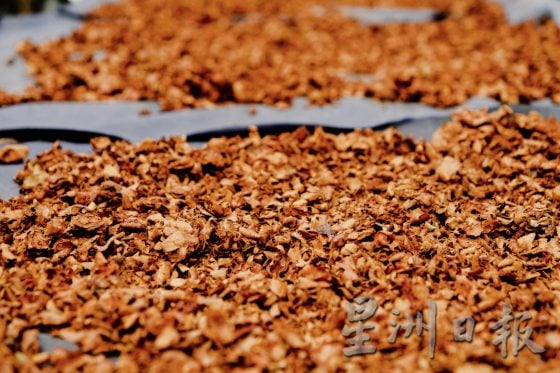 【荳蔻的故事／03】传承三代，豆蔻还能走多远？