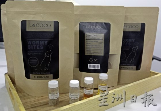 【虫虫商机／01】虫虫餐──人类未来的食物？