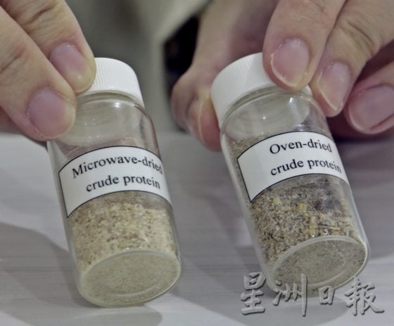 【虫虫商机／01】虫虫餐──人类未来的食物？