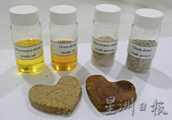 【虫虫商机/01】虫虫餐──人类未来的食物?