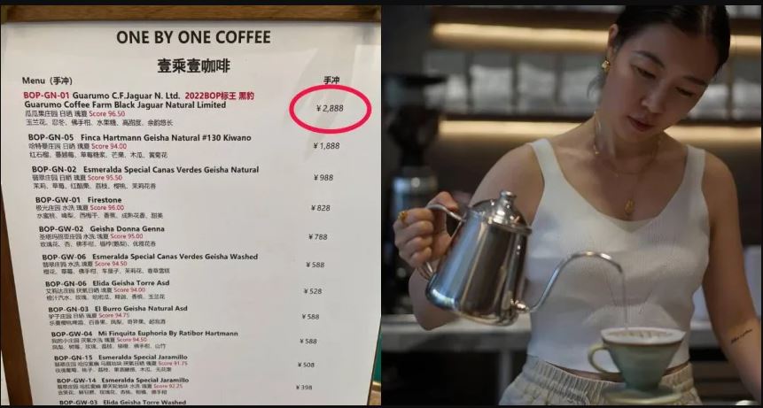 一杯咖啡要价1856令吉?! 业者:是全球顶级咖啡生豆