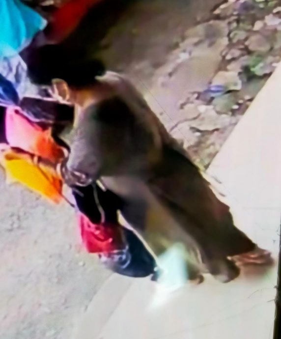 东:印裔妇女假借打包食物偷钱