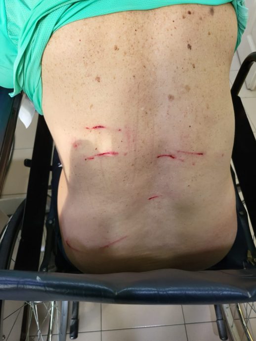 东:攻击追咬华裔商人的灰毛狒(Beruk)被捕了!