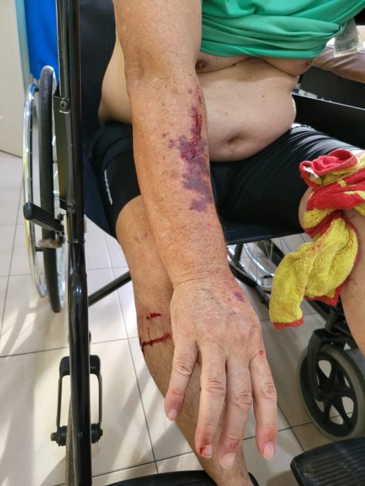 东:攻击追咬华裔商人的灰毛狒(Beruk)被捕了!