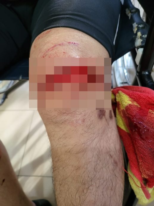 东:攻击追咬华裔商人的灰毛狒(Beruk)被捕了!