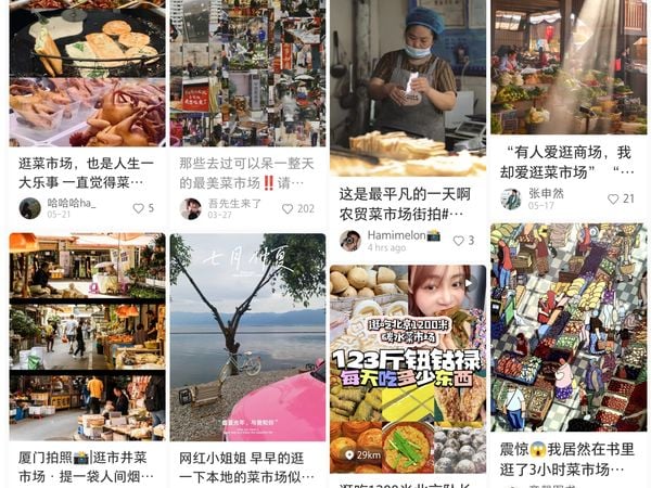 中国青年揪团上菜市场旅行 拒当“买菜小白”体验接地气人间烟火
