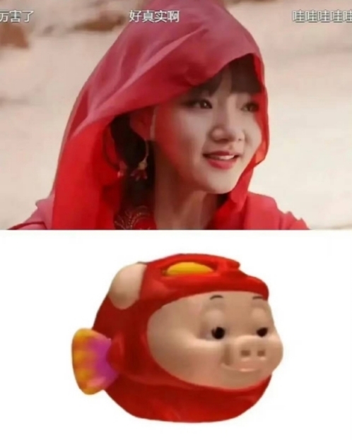 任敏颜值差《玉骨遥》边播边修片 连累肖战镜头被删全网气炸