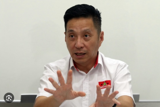 促政府成立特委会查“部长擅闯机场救人事件” 胡栋强:影响我国形象