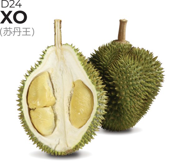 共赴一场榴梿Omakase