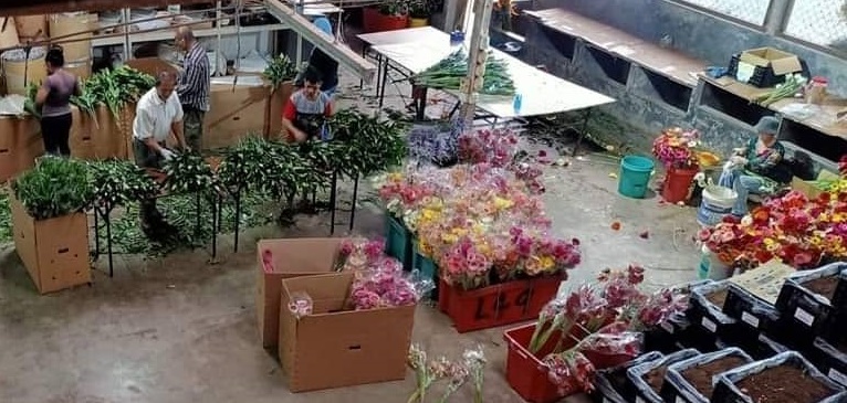 刘建隆:禁行令打乱运输时间 生活变紧张压力增