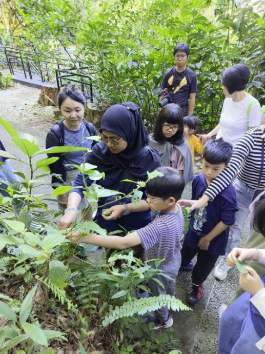 卓衍豪/The Habitat把教室带进雨林