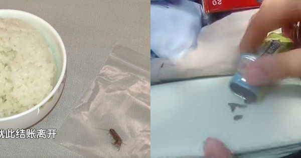 只为了钱!中国男子携蟑螂含嘴中 敲诈餐厅1904令吉