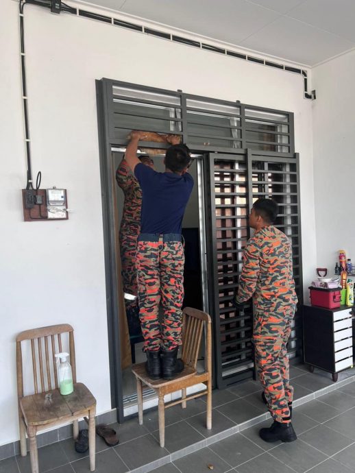 可爱胖橘猫贪玩卡铁花·猫主出动Bomba大哥相救