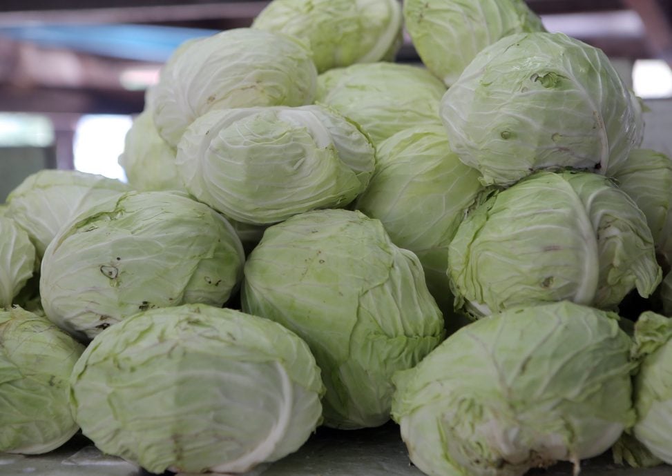 叶菜便宜 番茄价高 