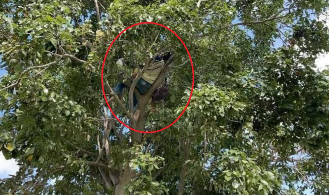 吃醋妻子曾嫁人 吸毒父抱6岁女爬树自杀