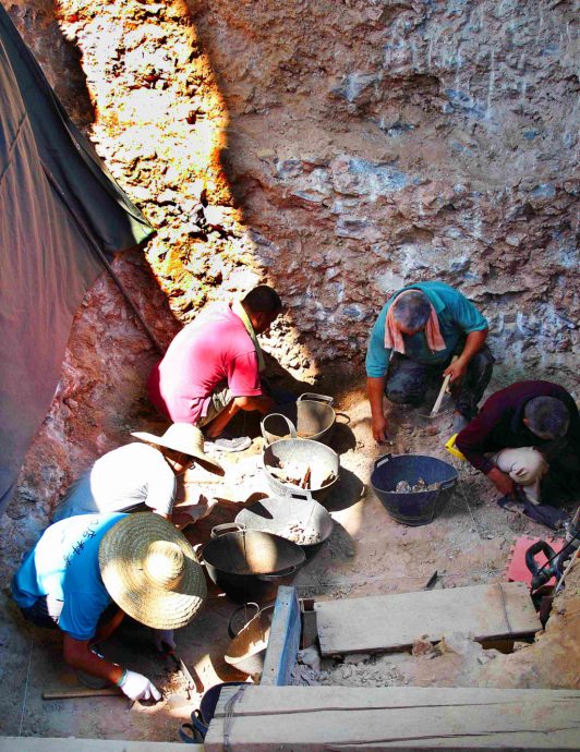 周口店北京人遗址新发现 50年来首现古人类顶骨化石