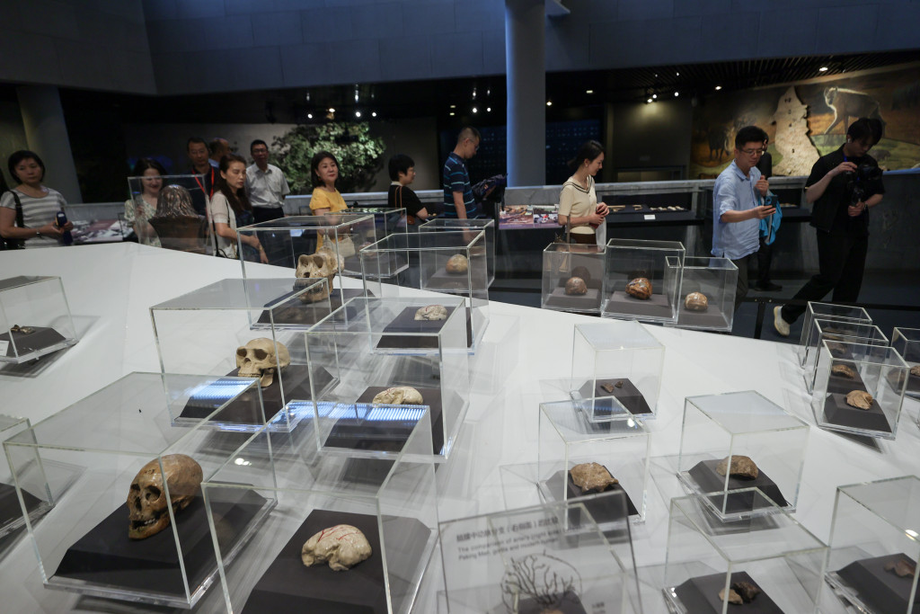 周口店北京人遗址新发现 50年来首现古人类顶骨化石