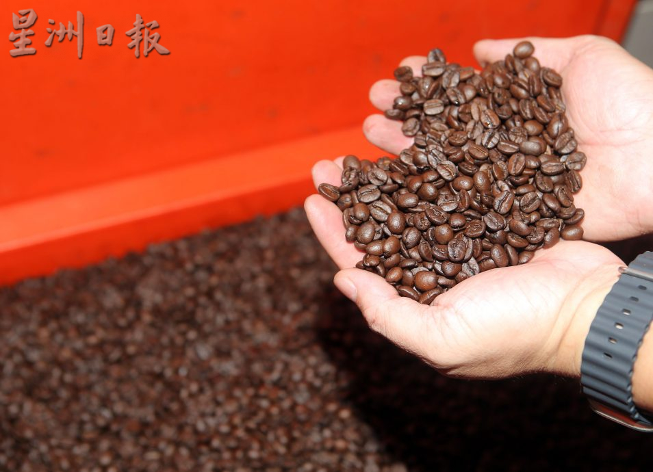 咖啡豆白糖推高成本 每杯饮品料起20仙