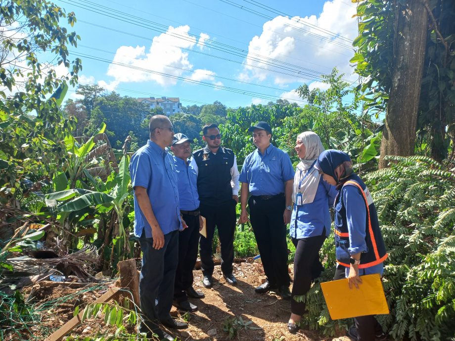 大都会 /me03头/ MBSJ取缔和拆除非法菜园和扩建/ 5图