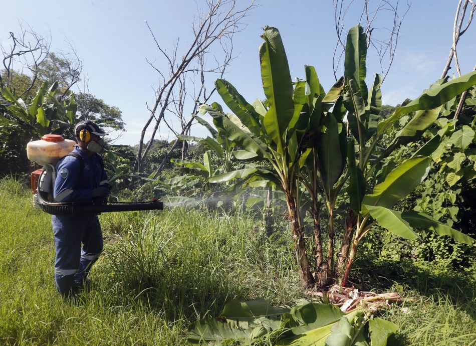 大都会 /me03头/ MBSJ取缔和拆除非法菜园和扩建/ 5图