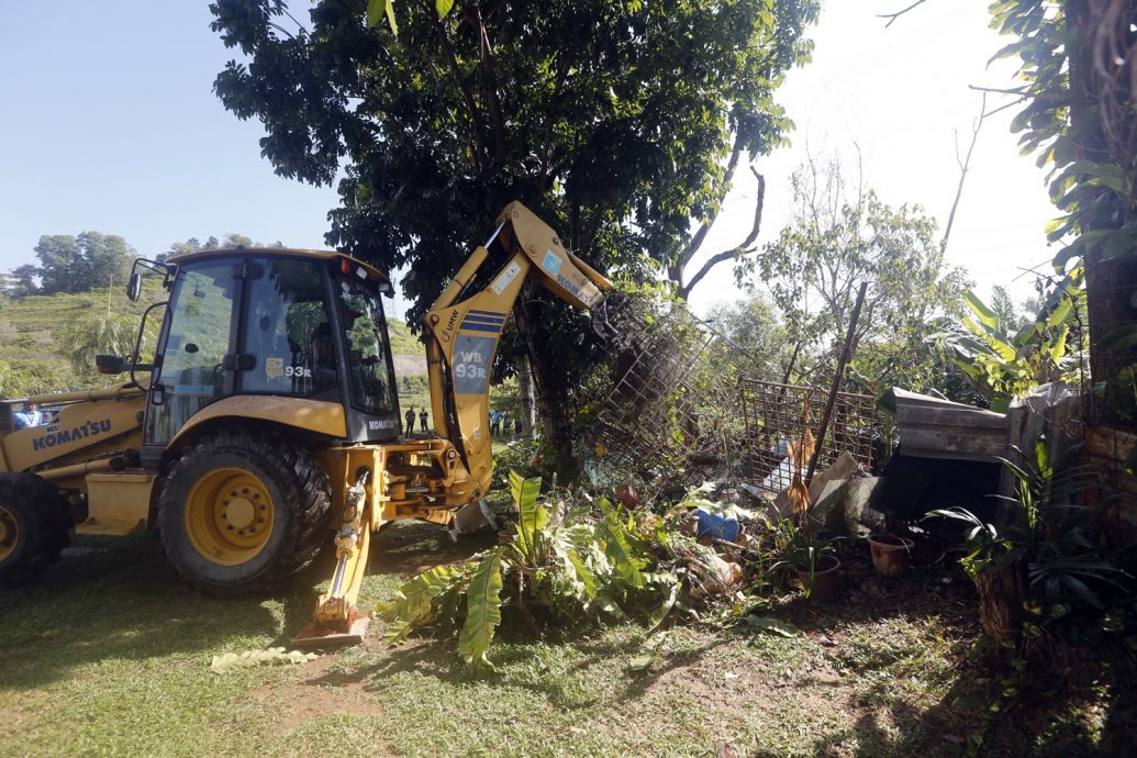 大都会 /me03头/ MBSJ取缔和拆除非法菜园和扩建/ 5图