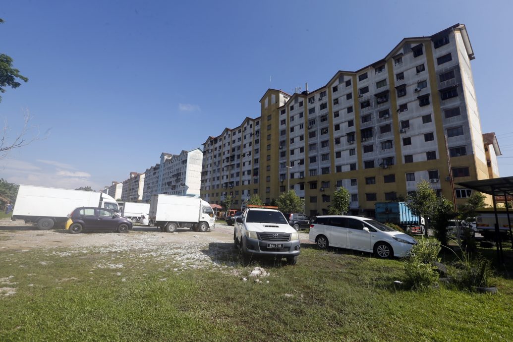 大都会 /me03头/ MBSJ取缔和拆除非法菜园和扩建/ 5图