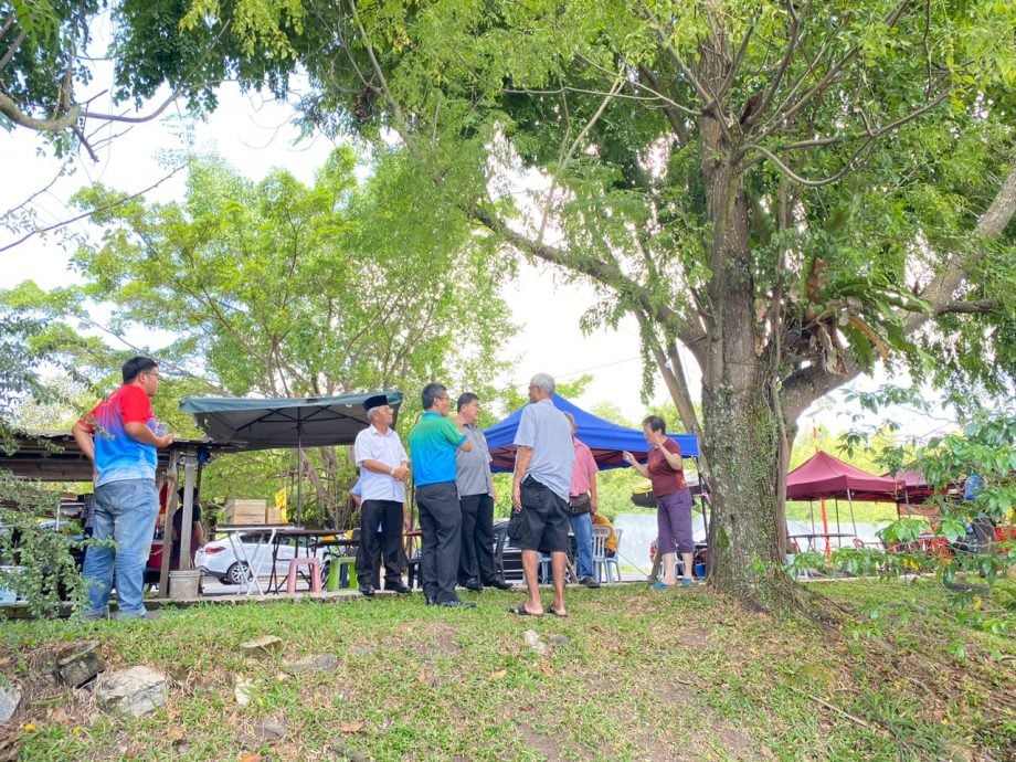 大都会/加影双溪直鲁花园,恐大树被大风吹倒,居民要求砍树