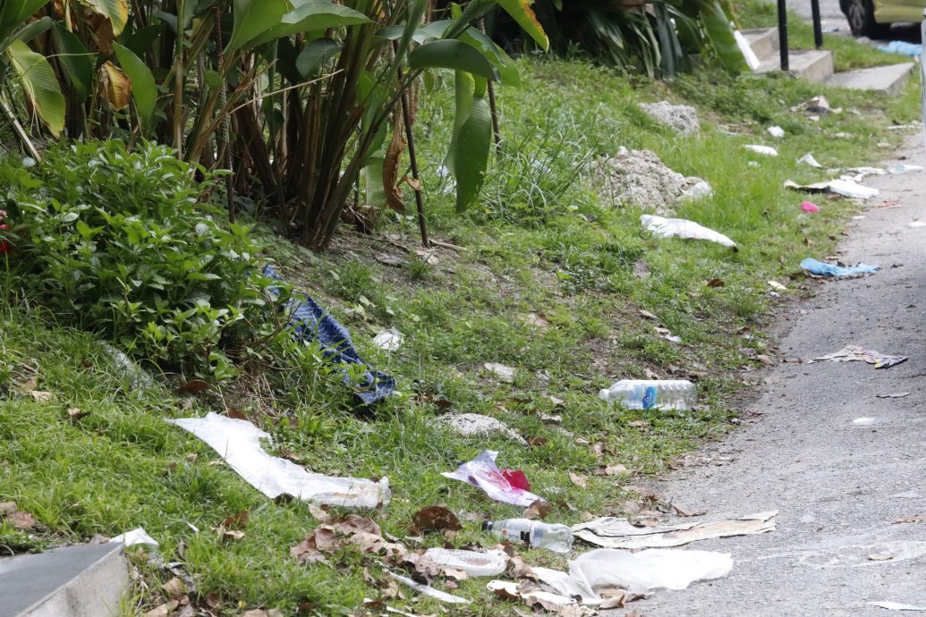 大都会/安邦太子园街道清理问题/8图