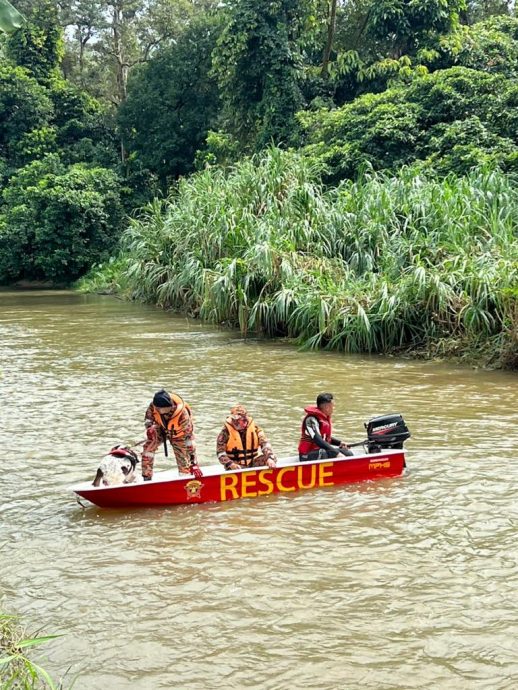大都会:搜救进入第4日男童仍无踪影/3图