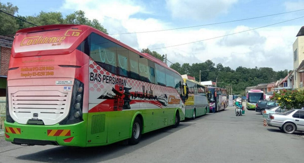 大都会/电访旅巴生意情况