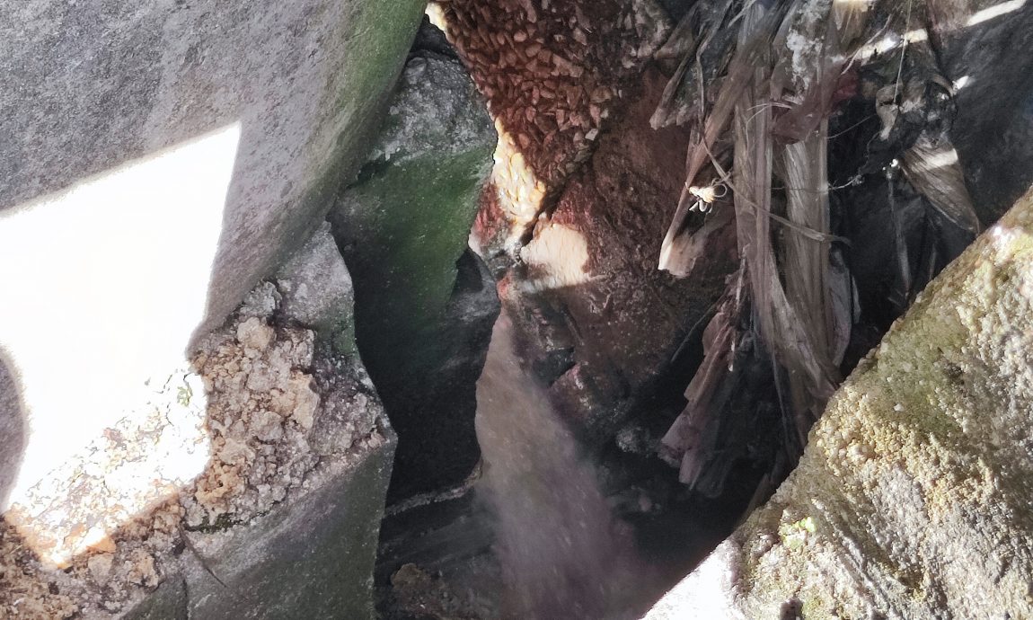 大都会/美达花园渠水倒灌进居民家/12图