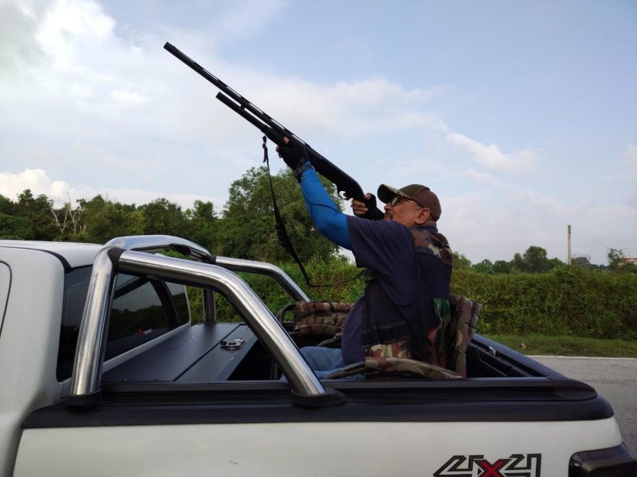 大都会:55枪手参与瓜冷市议会射杀乌鸦行动射下1659只