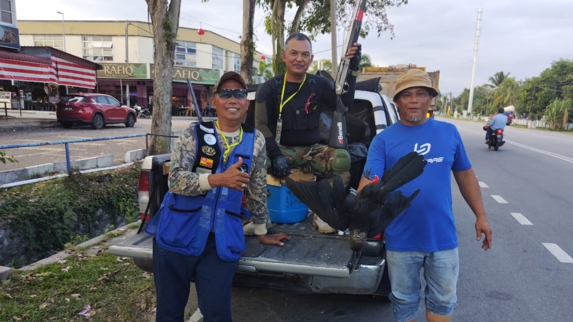大都会:55枪手参与瓜冷市议会射杀乌鸦行动射下1659只