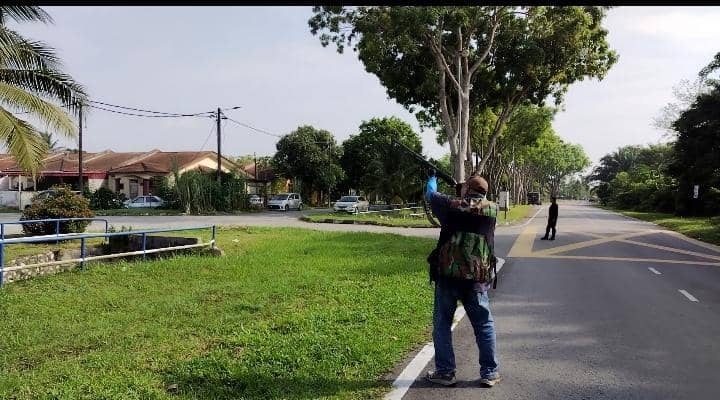 大都会:55枪手参与瓜冷市议会射杀乌鸦行动射下1659只