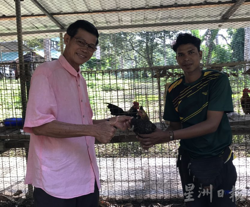 大霹雳封底主文★7月22日刊登【我家萌宠】/黄胜全创迷你动物园 小动物的天堂 