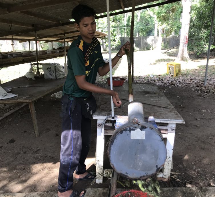 大霹雳封底主文★7月22日刊登【我家萌宠】/黄胜全创迷你动物园 小动物的天堂 