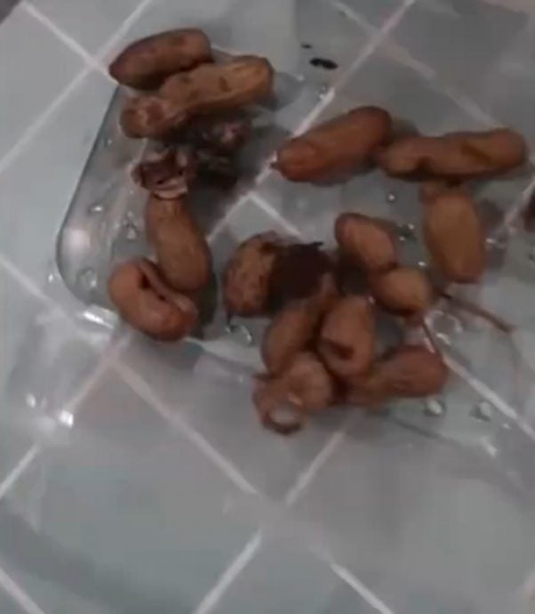 女子称水煮花生中吃出鼠头 当局查封涉事熟食店