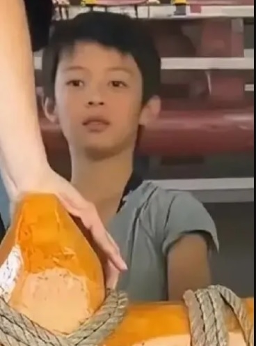 孙俪1拖2游新加坡环球影城 12岁帅儿曝光