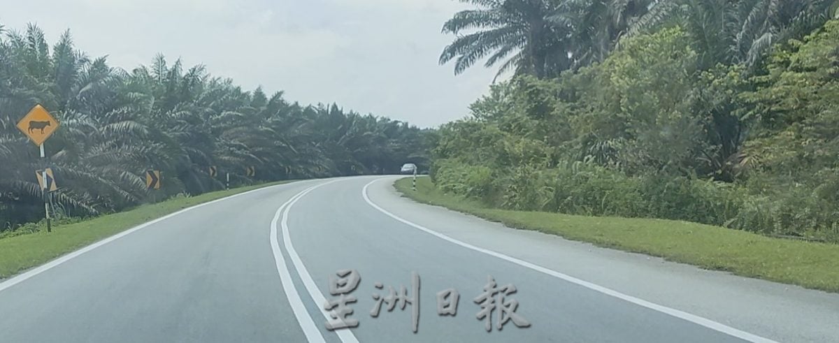 **已签发**柔:封面:【民生特工队】:过去月内至少4车祸致3死多伤,古来埔来山路暗藏杀机