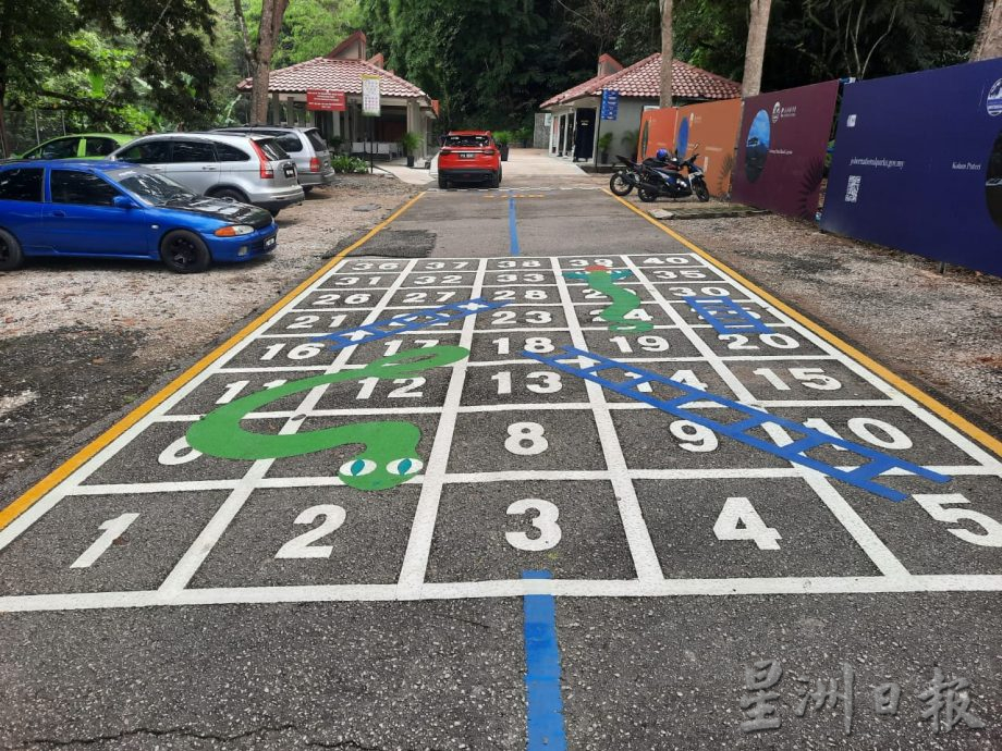 **已签发**柔:封面:【特稿】:金山瀑布景区重新开放,一起来场“森林浴”吧!