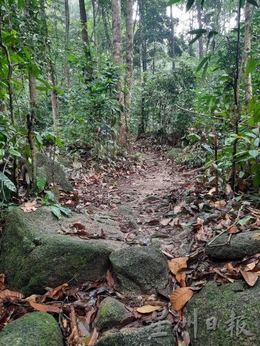 **已签发**柔:封面:【特稿】:金山瀑布景区重新开放,一起来场“森林浴”吧!