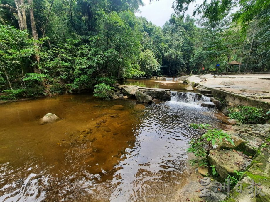 **已签发**柔:封面:【特稿】:金山瀑布景区重新开放,一起来场“森林浴”吧!